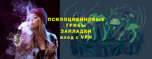 индика Аркадак