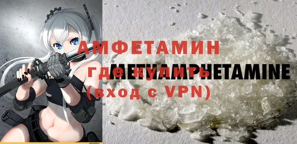 индика Аркадак