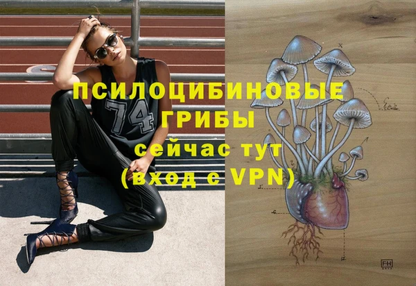 молекула духа Армянск