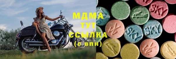 индика Аркадак