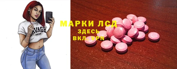 индика Аркадак