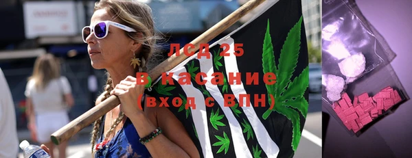 индика Аркадак