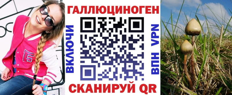 наркота  Константиновск  Псилоцибиновые грибы Cubensis 